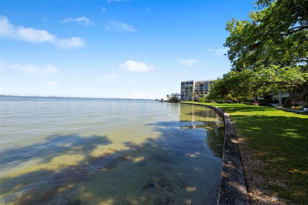 5010 Bayshore Boulevard, Unit 4, Tampa, FL 33611 Photo