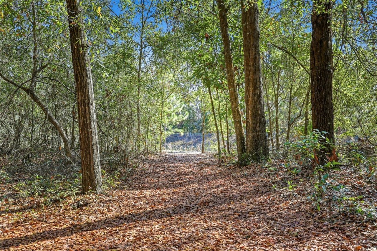 8920 NE 8th Place , High Springs, FL 32643 Photo