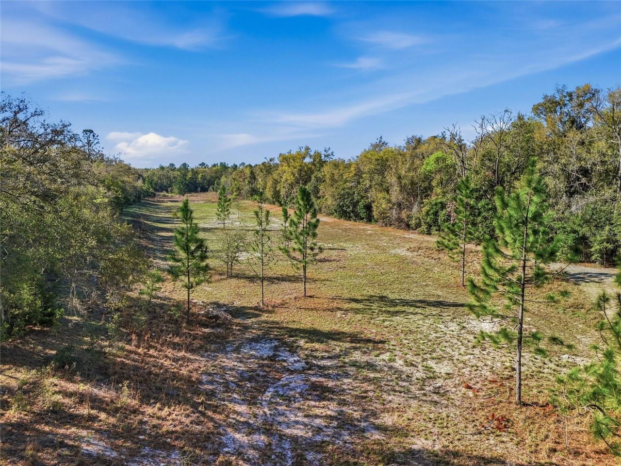 8920 NE 8th Place, High Springs, FL 32643 Photo