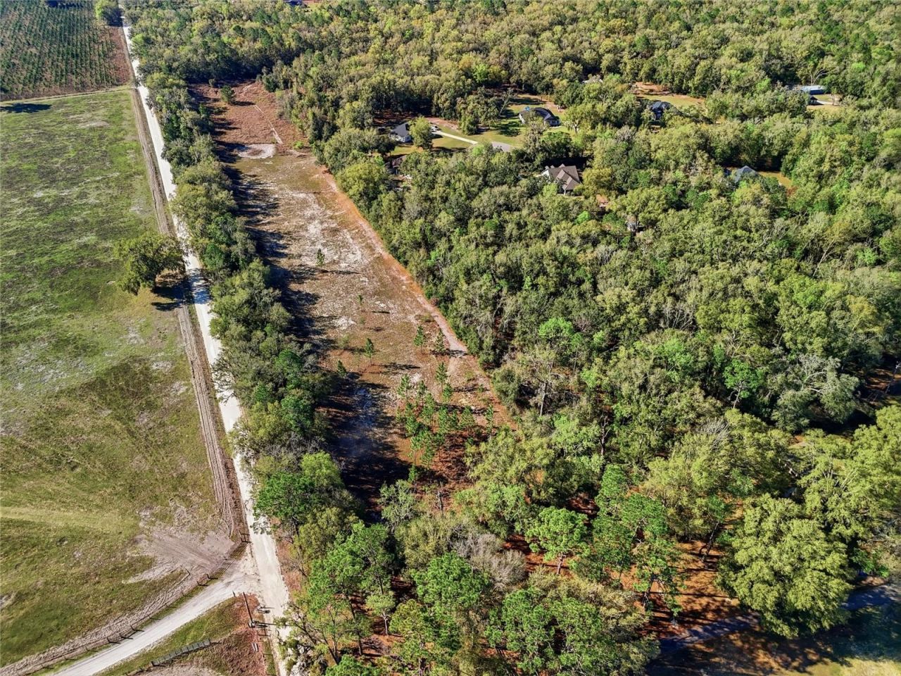 8920 NE 8th Place, High Springs, FL 32643 Photo