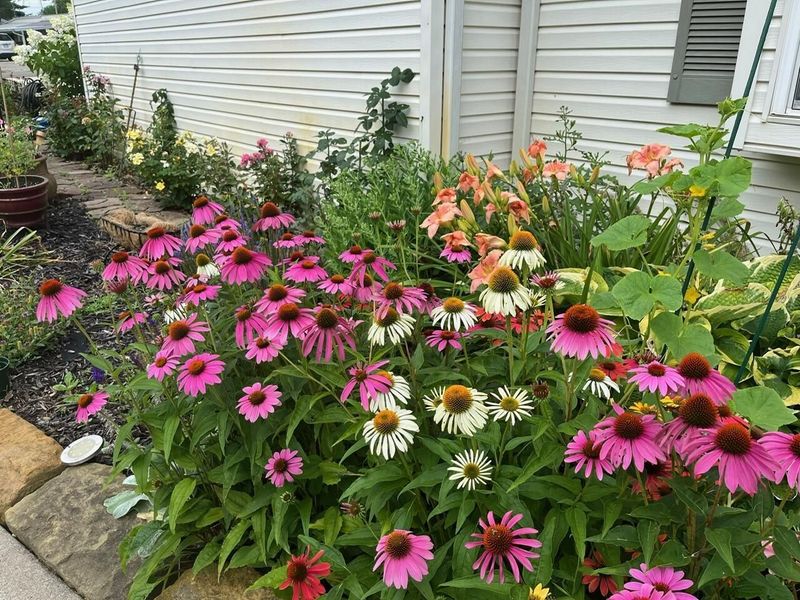 11974 Township Road 406, Thornville, OH 43076 Photo 6