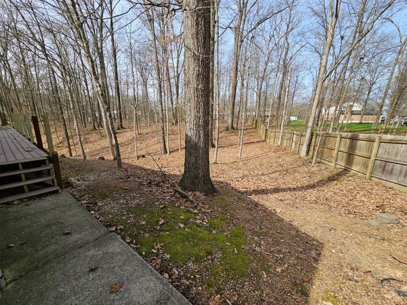 167 Dogwood Drive, Loveland, OH 45140 Photo 38