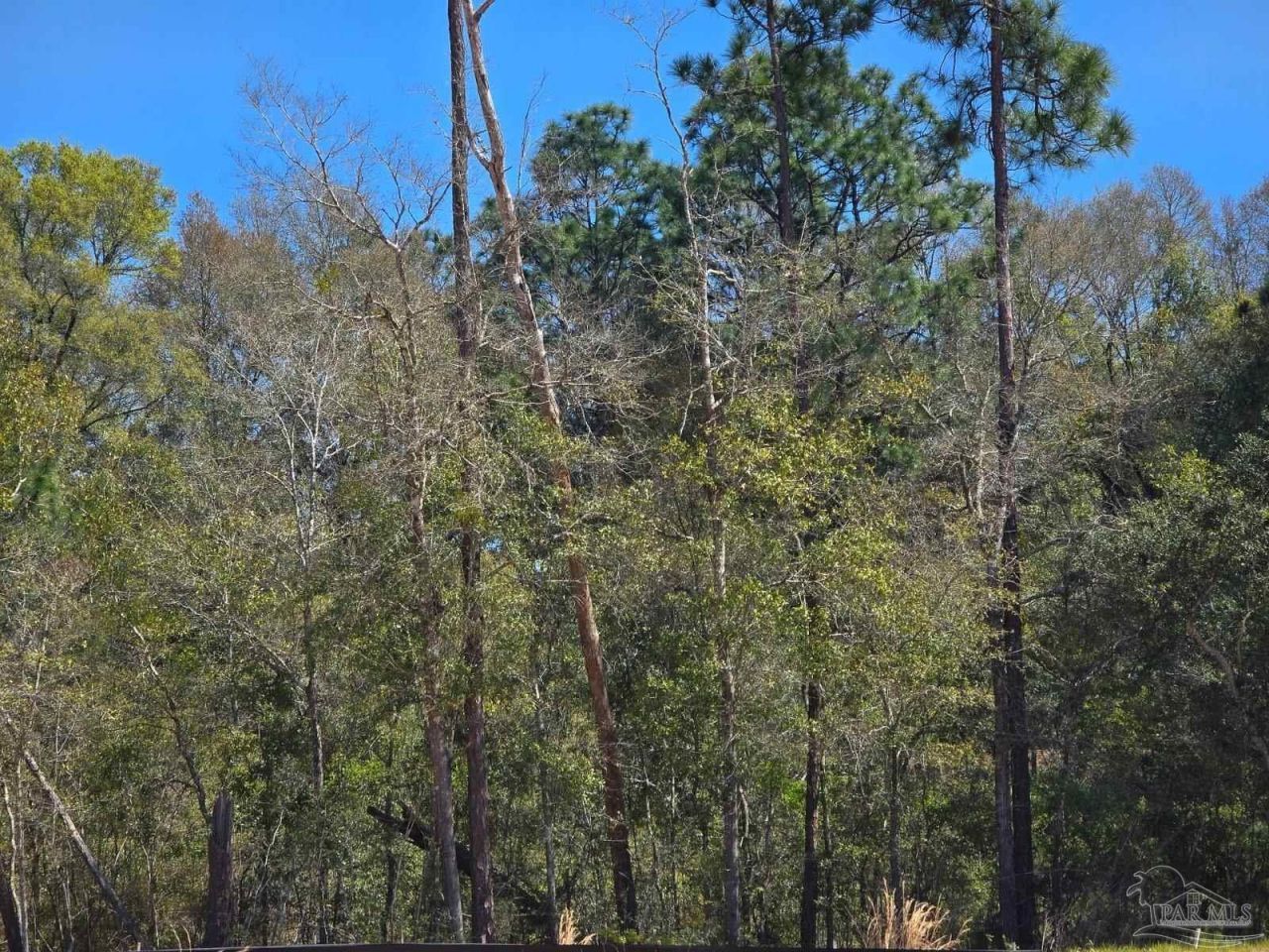 0000 School St, Bagdad, FL 32583 Main Photo