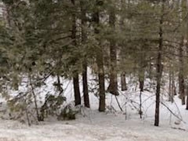 Lot# 0 Roosevelt Trail , Naples, ME 04055