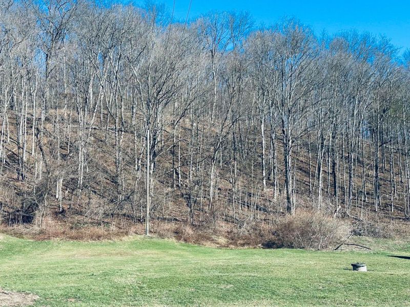 0 Marietta Road , Caldwell, OH 43724 Photo 6