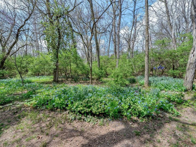 1244 Lancaster Pike, Circleville, OH 43113 Photo 48