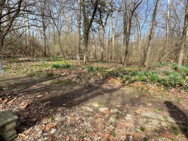 1244 Lancaster Pike , Circleville, OH 43113 Photo 9