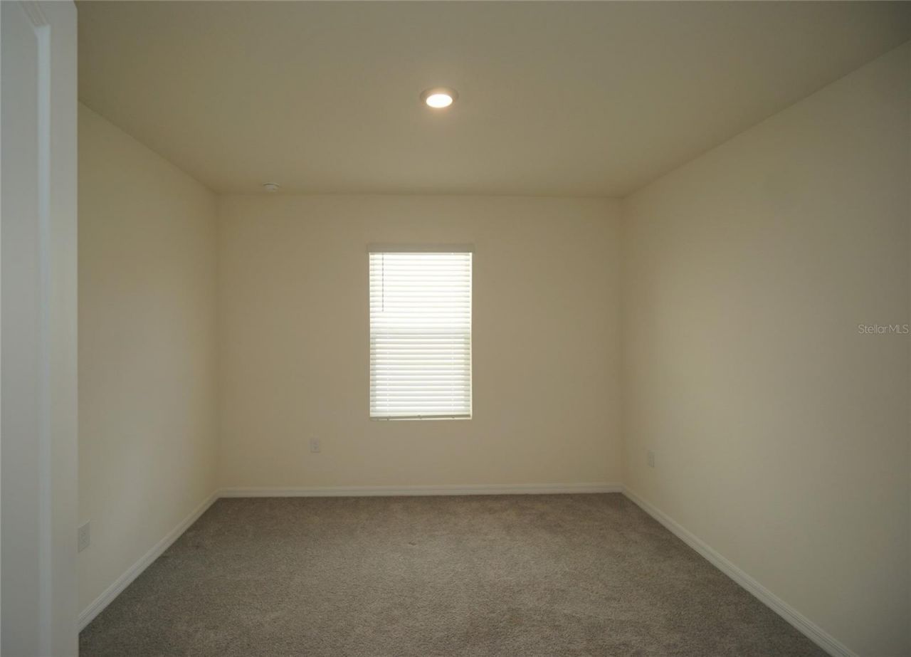 33700 Jasper Stone Drive, Wesley Chapel, FL 33543 Photo