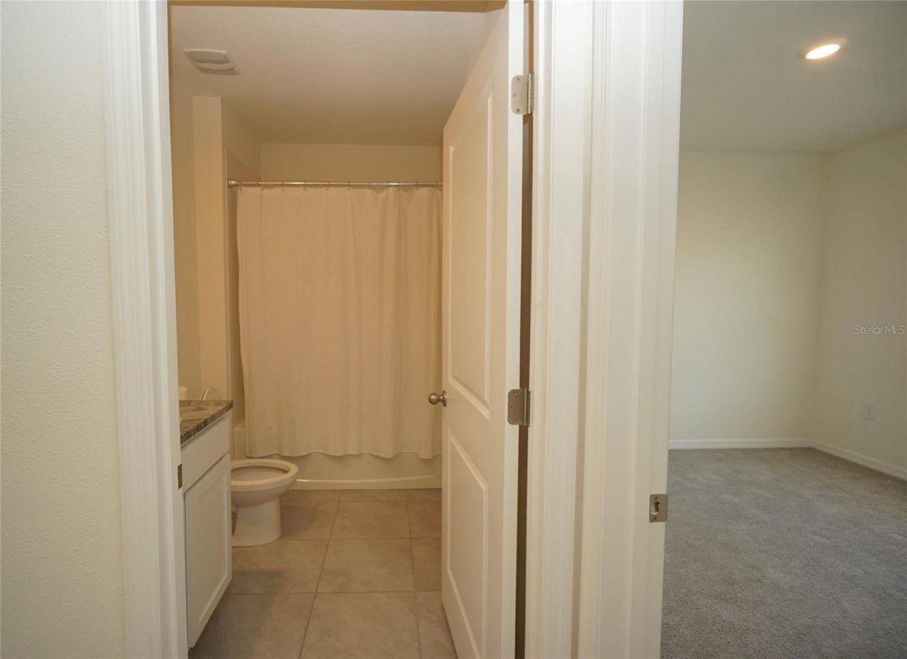 33700 Jasper Stone Drive, Wesley Chapel, FL 33543 Photo