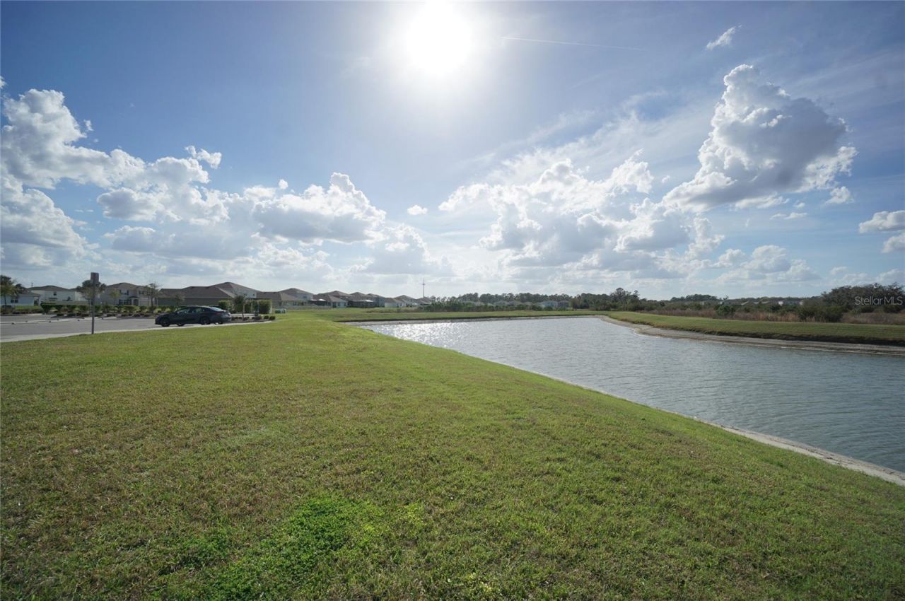 33700 Jasper Stone Drive, Wesley Chapel, FL 33543 Photo