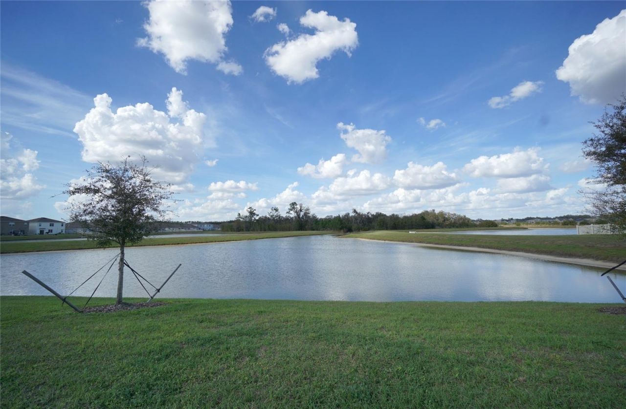 33700 Jasper Stone Drive, Wesley Chapel, FL 33543 Photo