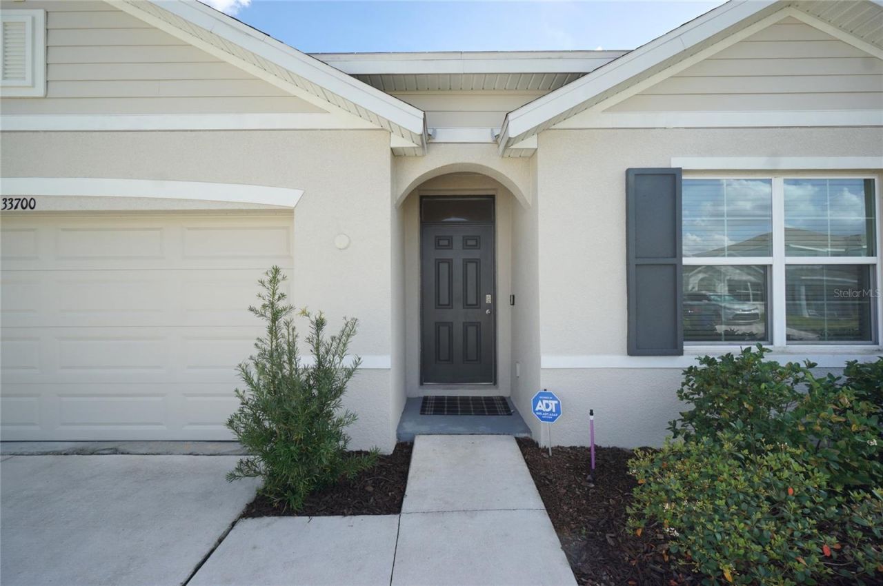 33700 Jasper Stone Drive, Wesley Chapel, FL 33543 Photo