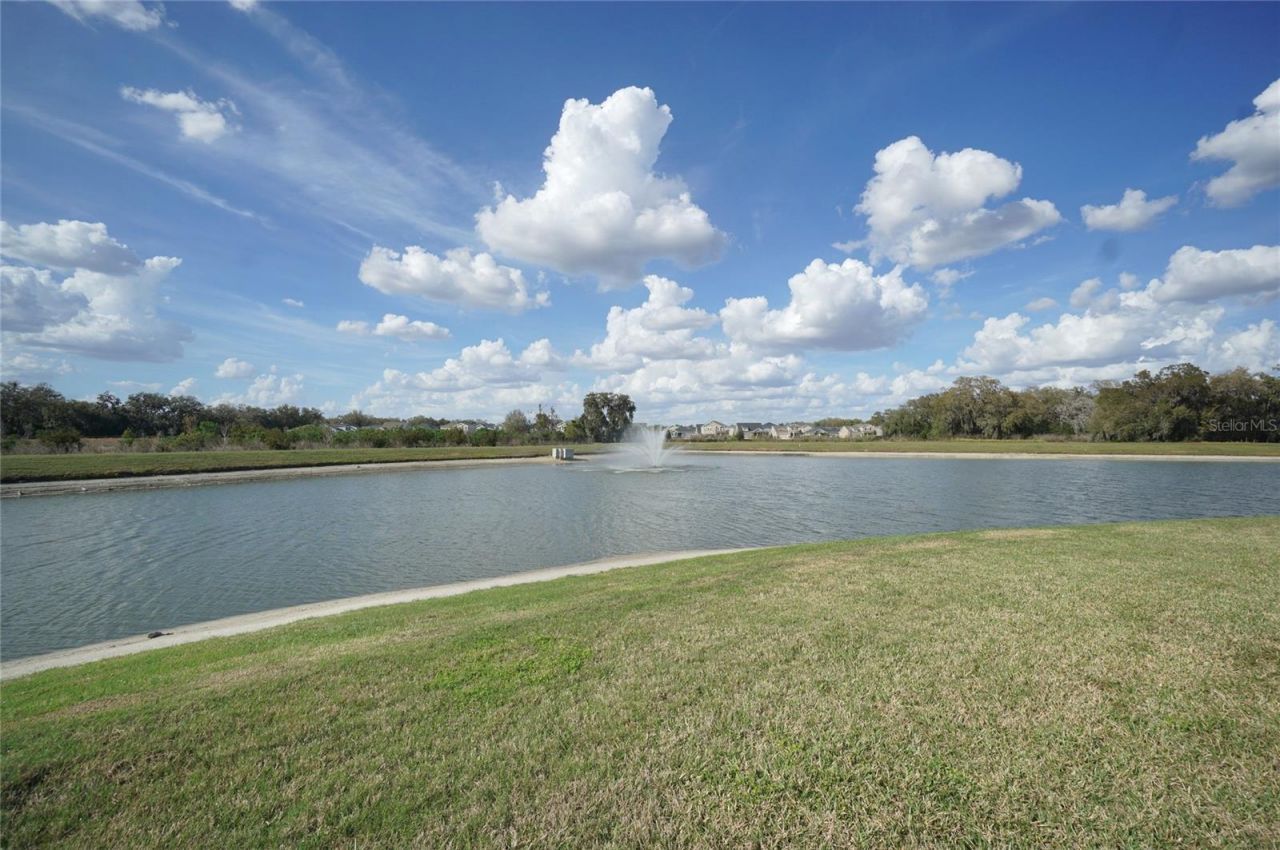 33700 Jasper Stone Drive, Wesley Chapel, FL 33543 Photo