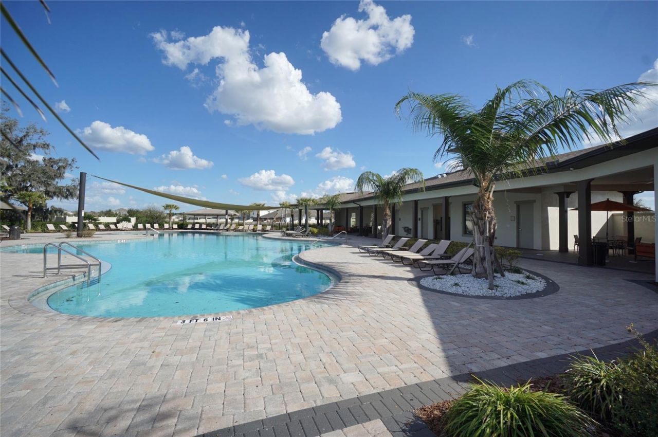 33700 Jasper Stone Drive, Wesley Chapel, FL 33543 Photo
