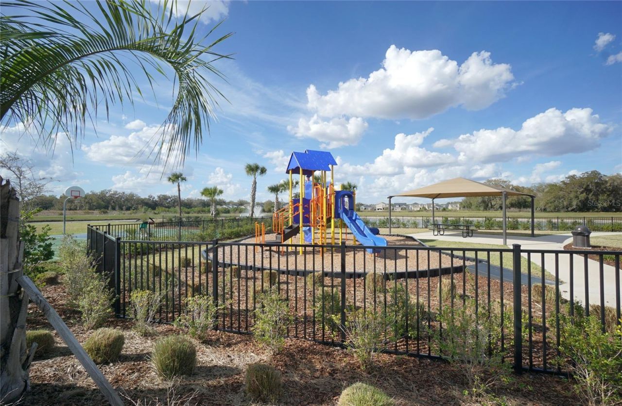 33700 Jasper Stone Drive, Wesley Chapel, FL 33543 Photo