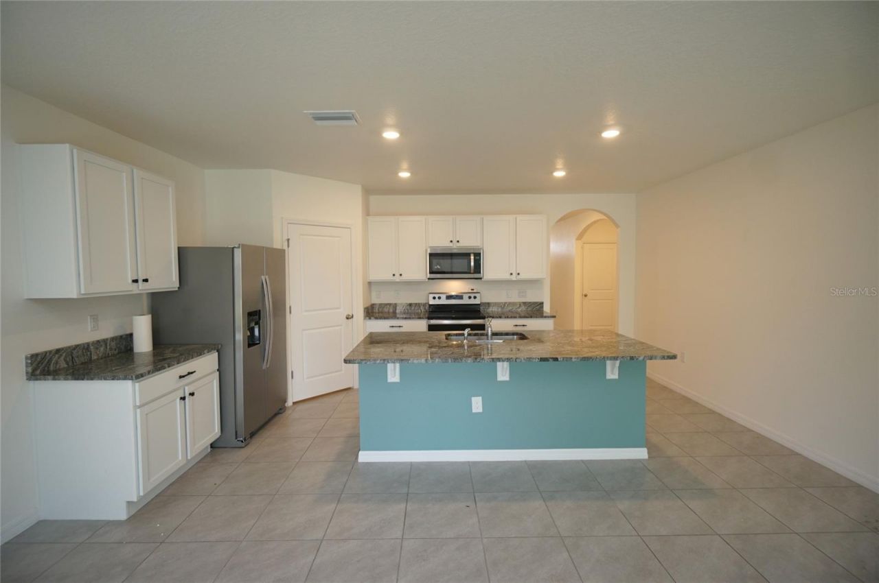 33700 Jasper Stone Drive, Wesley Chapel, FL 33543 Photo