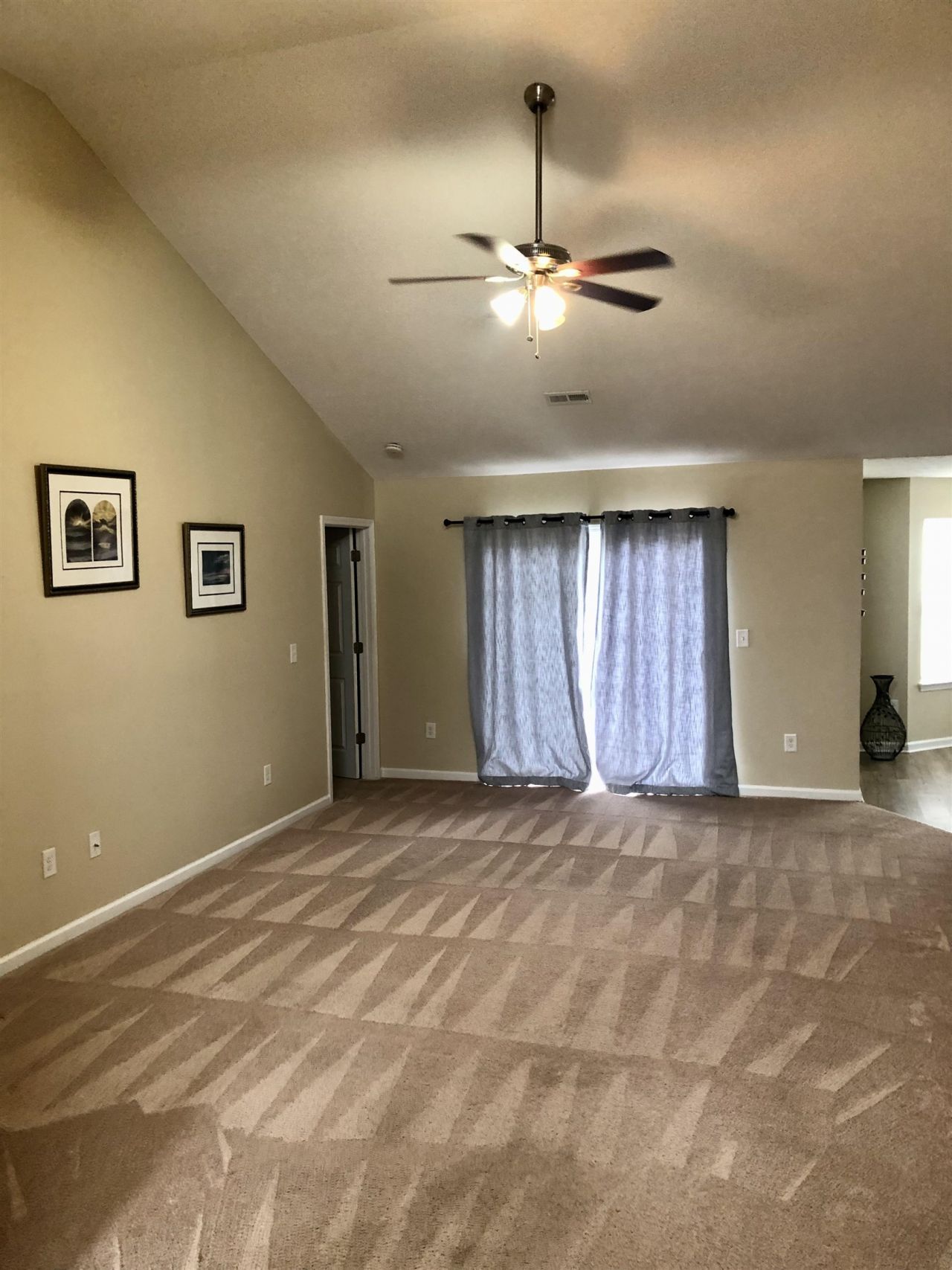 338 Hidden Ct.  Photo 4