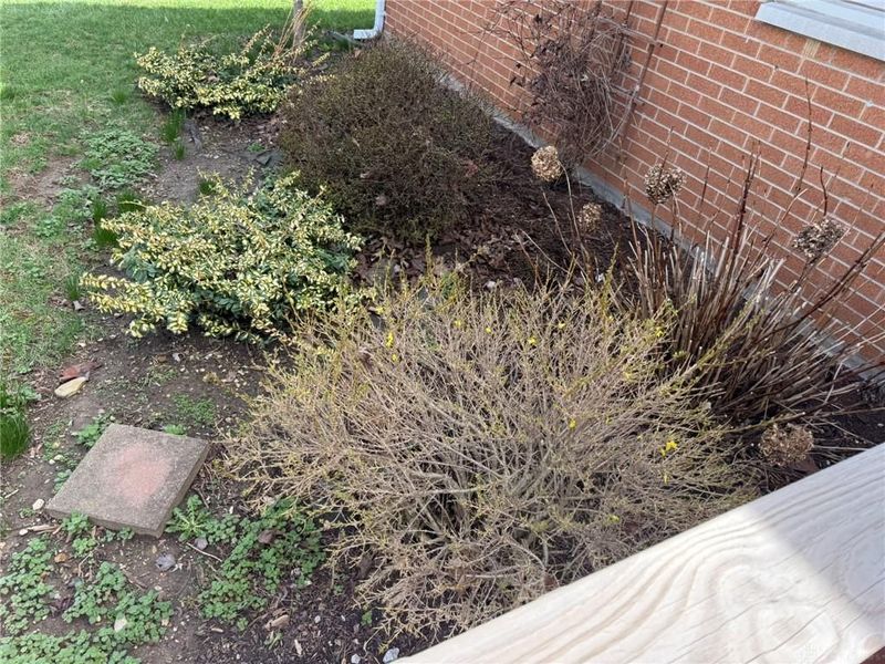 224 Perry Street, New Lebanon, OH 45345 Photo 6