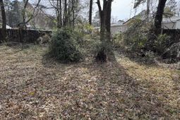 1217 Ellington St. photo 4