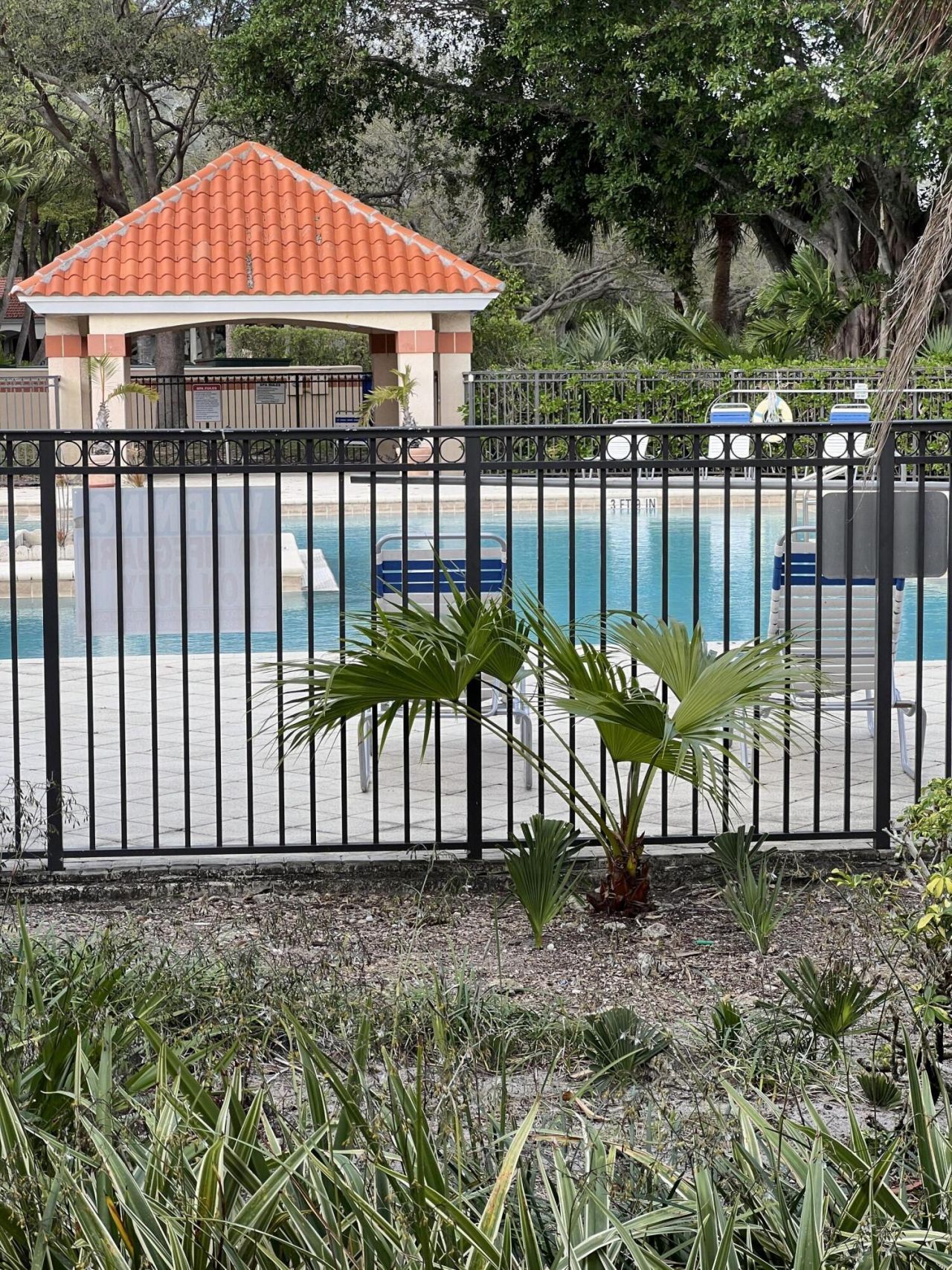 3470 N Pinewalk Drive Drive N, Unit 217, Margate, FL 33063 Photo