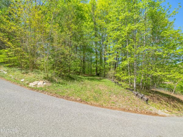 Lot 51 S Shorewood Drive, Caryville, TN 37714