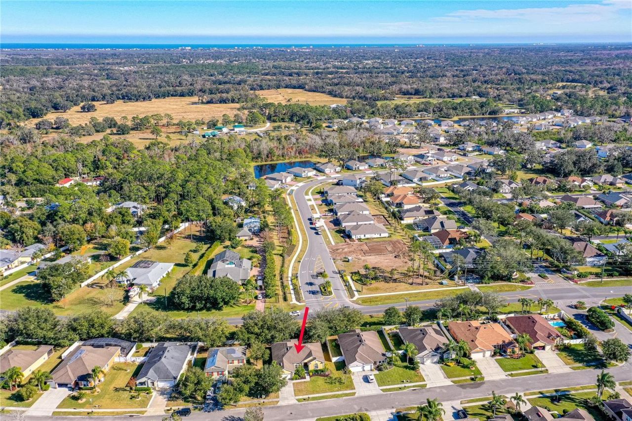 727 Grape Ivy Lane, New Smyrna Beach, FL 32168 Photo