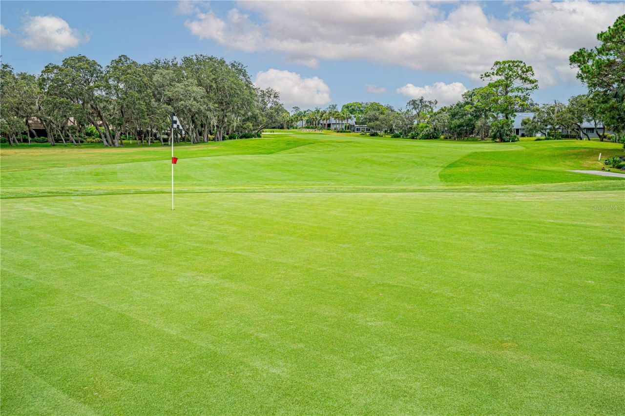 727 Grape Ivy Lane, New Smyrna Beach, FL 32168 Photo