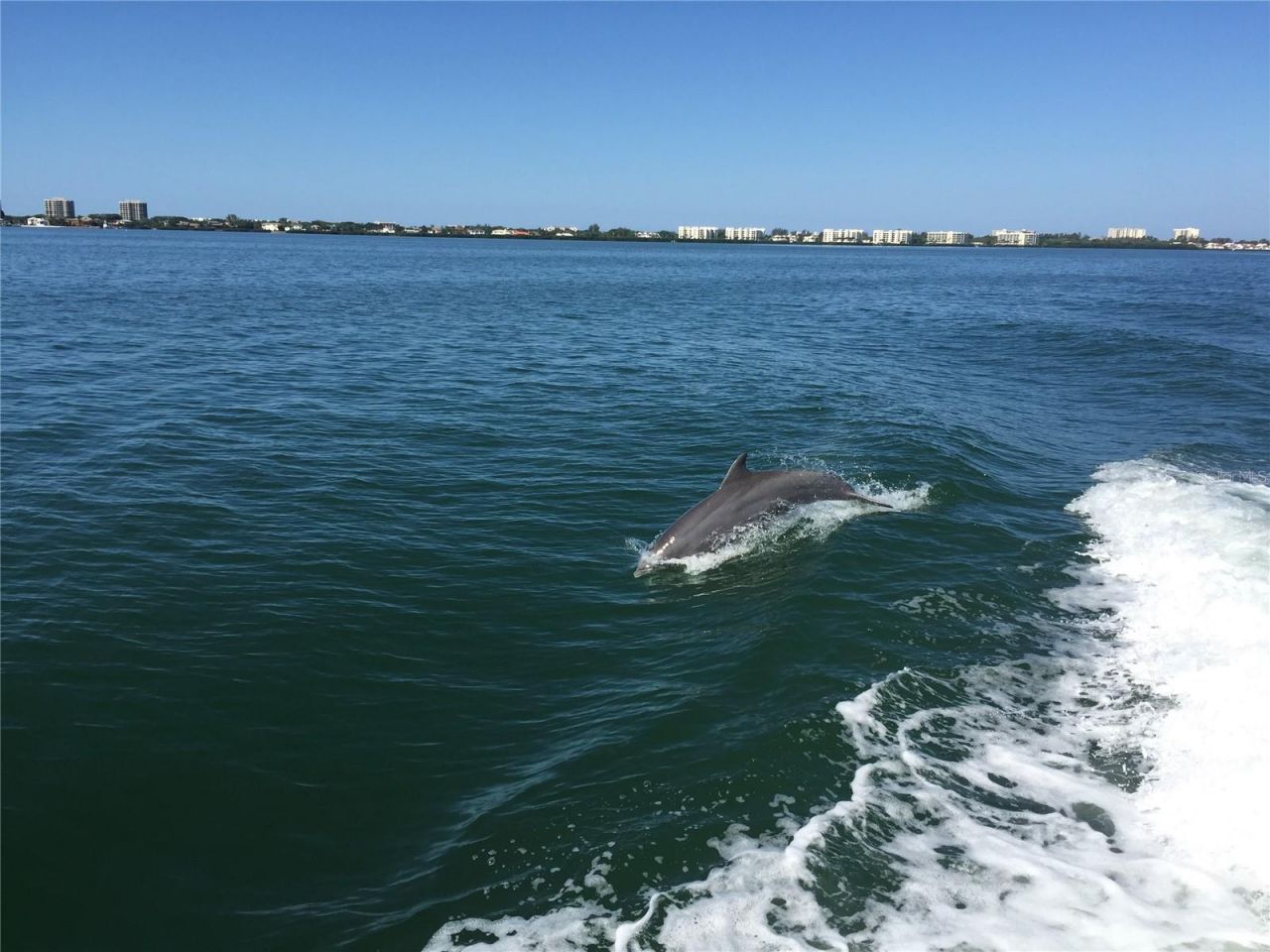 2600 Harbourside Drive , Unit C13, Longboat Key, FL 34228 Photo