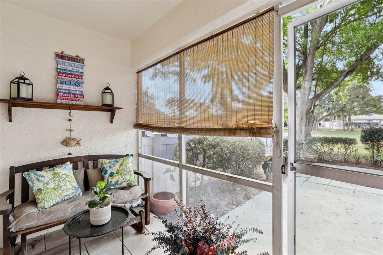 288 Salem Street, Safety Harbor, FL 34695 Photo