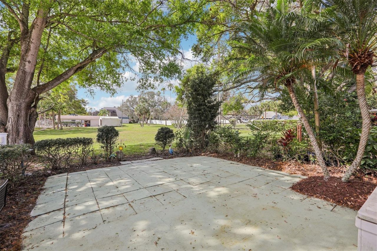 288 Salem Street, Safety Harbor, FL 34695 Photo