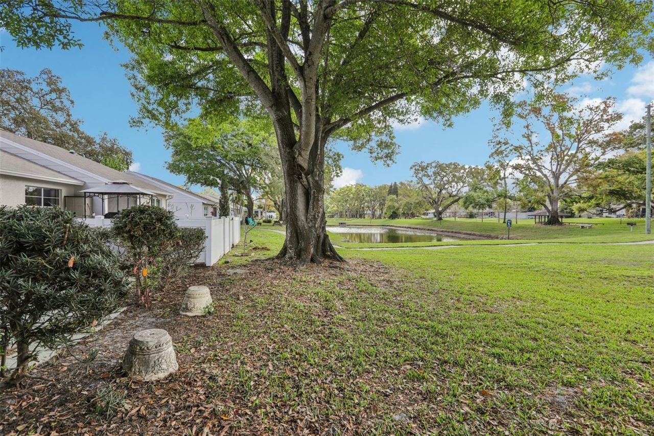 288 Salem Street, Safety Harbor, FL 34695 Photo