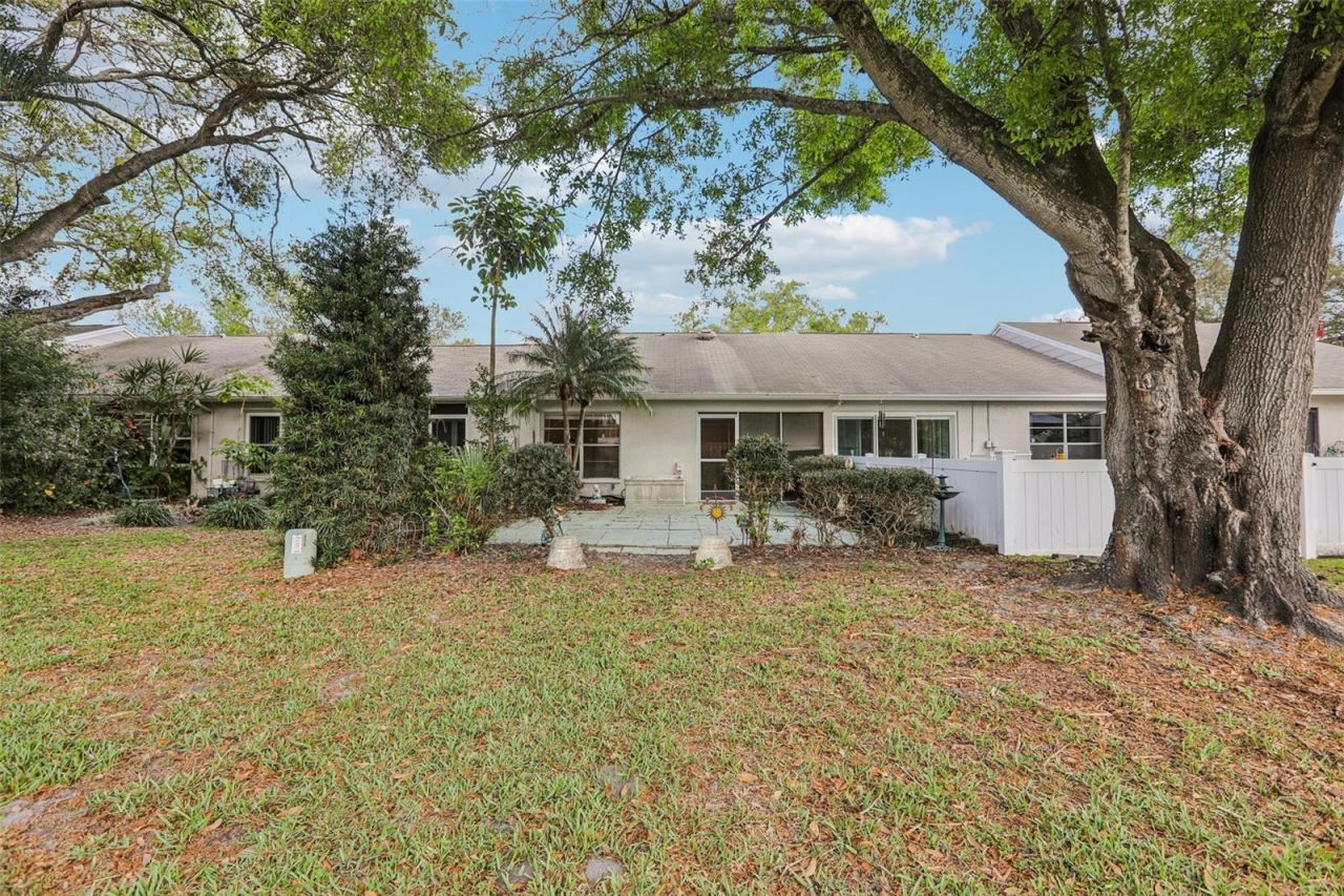 288 Salem Street, Safety Harbor, FL 34695 Photo