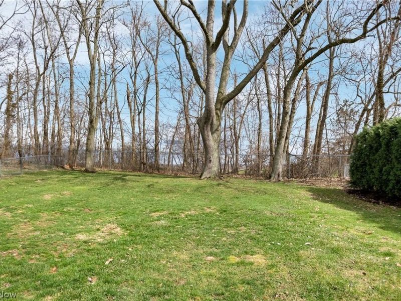 2813 N Bender Avenue, Akron, OH 44319 Photo 34