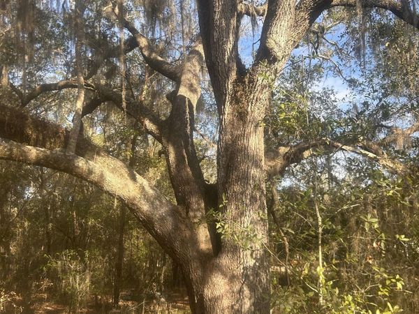 0 WEST LAKE DRIVE, Hawthorne, FL 32640