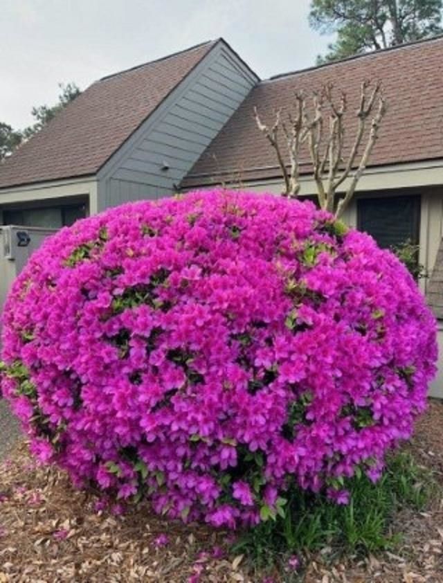 177 Club Circle Photo 25