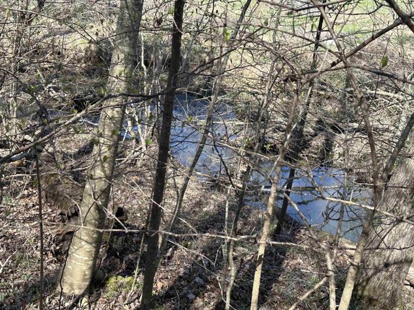 0 POPLAR SPRINGS RD, Savannah, TN 38372