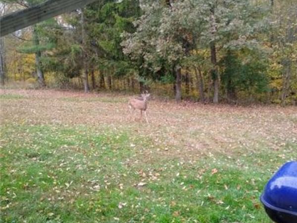 61000 Bolar Road Road, McArthur, OH 45651