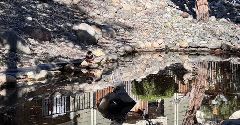 3012 Eastshore Place, Reno, NV 89509 Photo