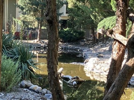3012 Eastshore Place, Reno, NV 89509 Photo