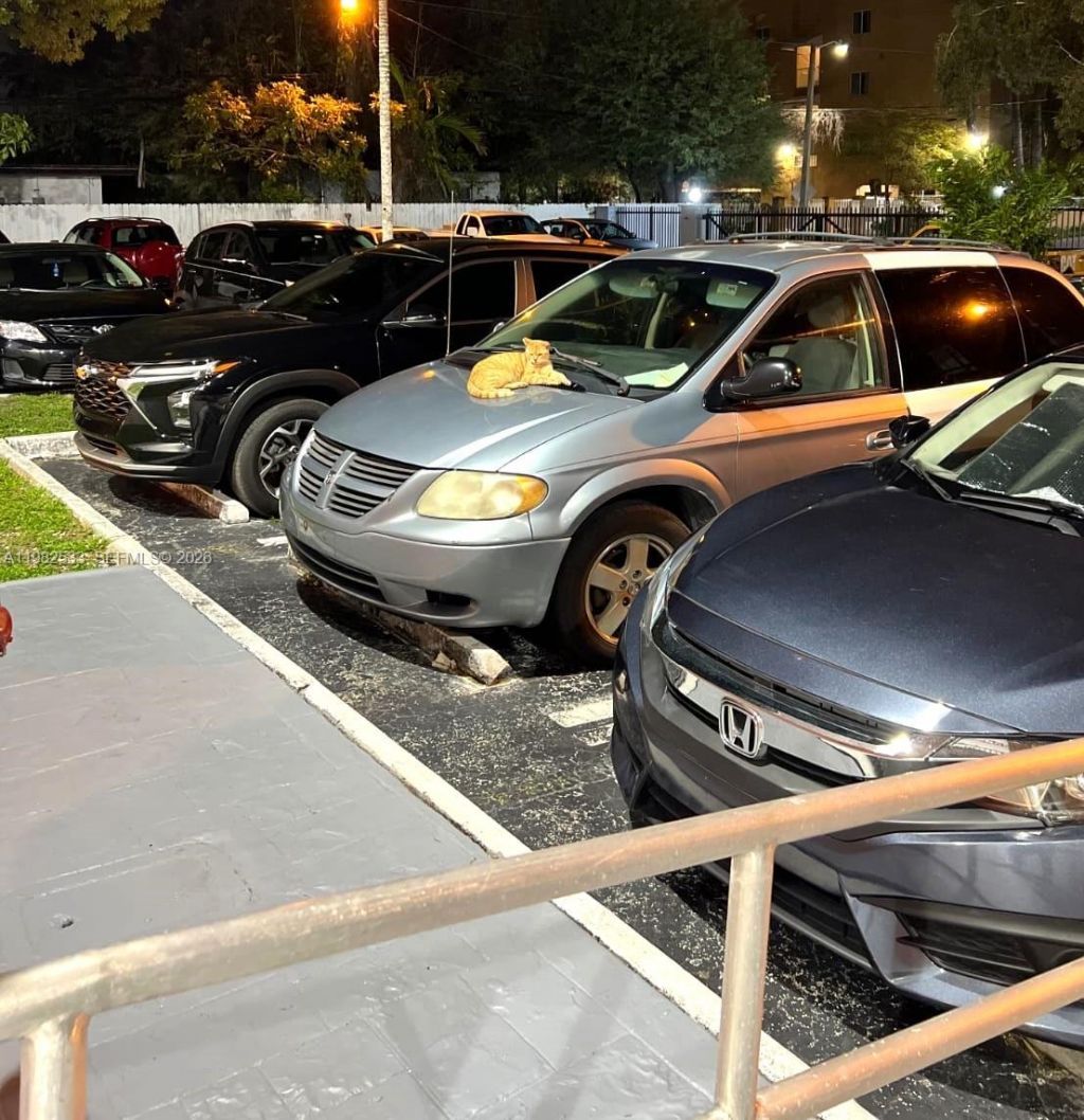 1251 NE 108th St, Unit 103, Miami, FL 33161 Photo