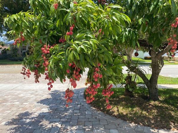 1251 SW 11th Ter, Unit N/A, Boca Raton, FL 33486