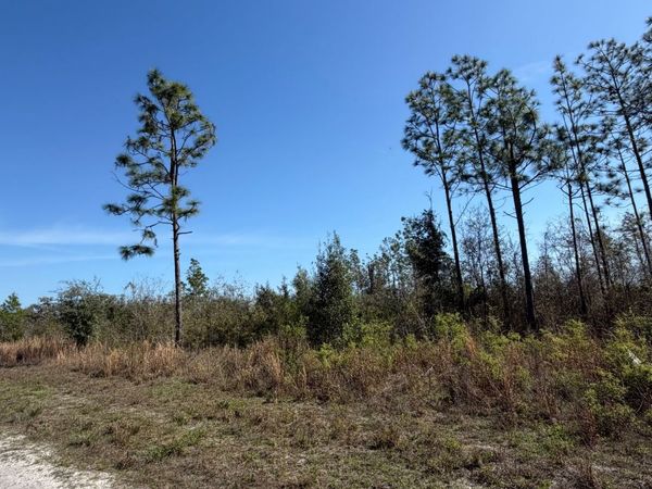 SE COLONIAL WAY, Lee, FL 32059