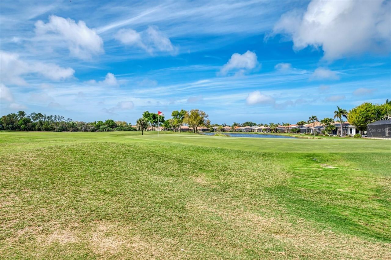 539 Sawgrass Bridge Road, Venice, FL 34292 Photo