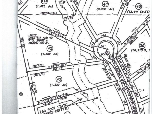 41A&42 Madeline Anthony Road, Dahlonega, GA 30533