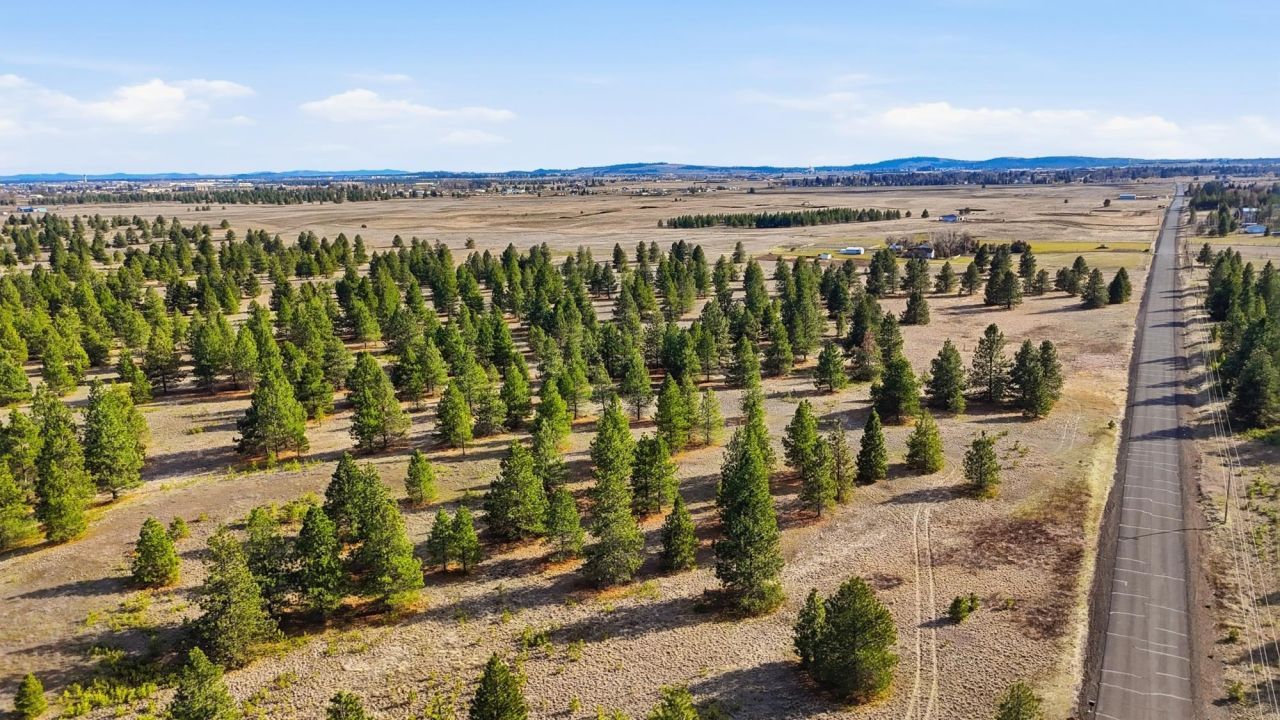 00 N Dover Rd, Medical Lake, WA 99022 Main Photo