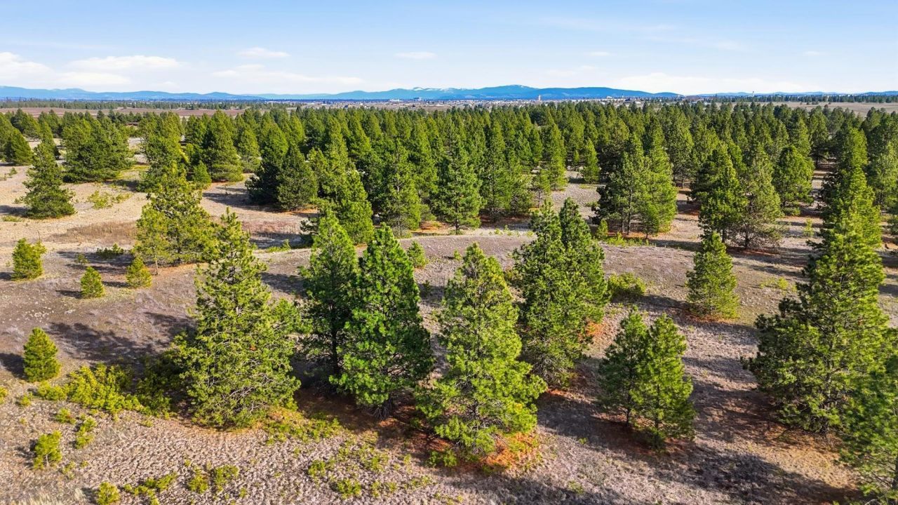 00 N Dover Rd, Medical Lake, WA 99022 Main Photo