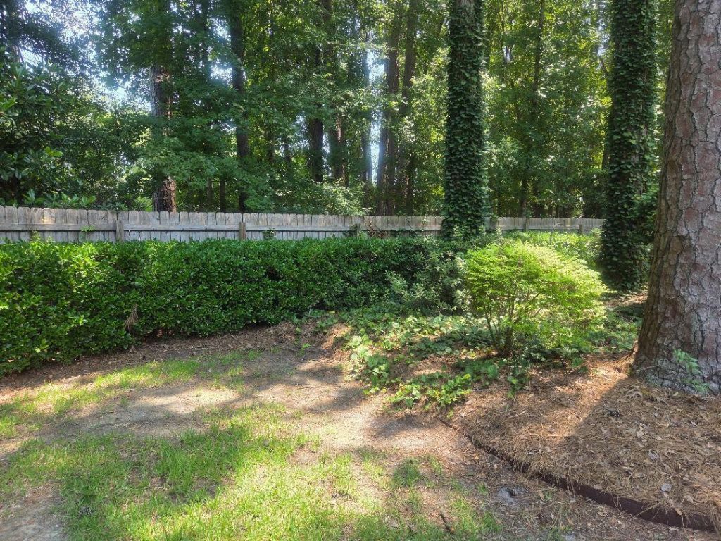 102 Wessex Terrace Photo 70