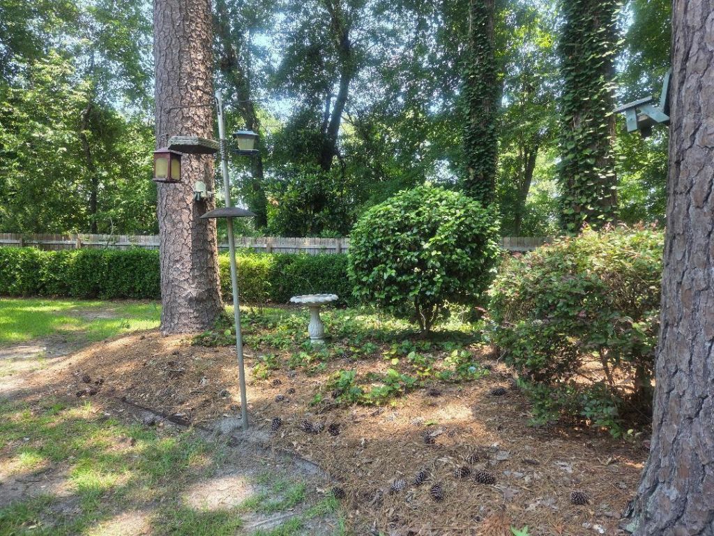 102 Wessex Terrace Photo 71