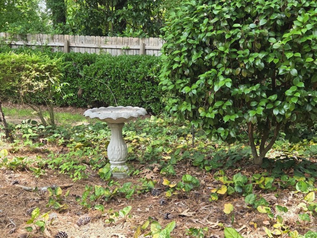 102 Wessex Terrace Photo 73