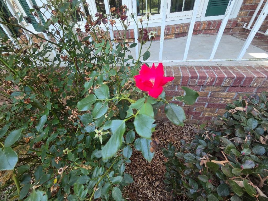 102 Wessex Terrace Photo 8